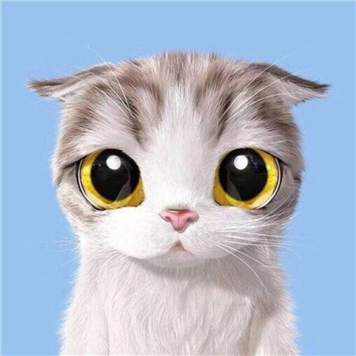 2018最新萌猫咪情侣头像一对 超可爱的情侣猫咪头像