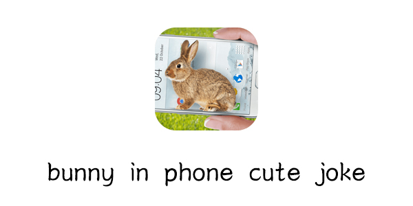 ny in phone cute joke_兔子在手机可爱的笑话a