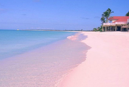粉色沙滩被评选为世界上最性感的海滩,粉红海滩长约三英里,水清沙幼