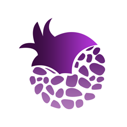 紫石榴应用宝app|紫石榴应用宝下载v1.0 手机版