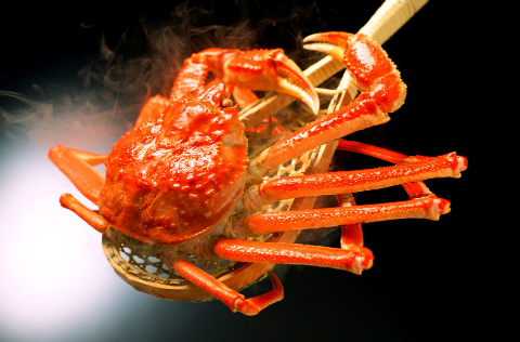 宝宝湿疹可以吃螃蟹吗 宝宝湿疹吃了螃蟹怎么