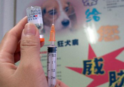 猫打狂犬疫苗多少钱