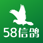 58信鸽app