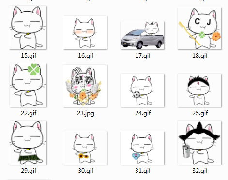 菊花教教猫表情包下载v1.0