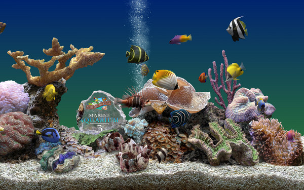 3D热带鱼水族箱屏保v3.1 汉化破解版
