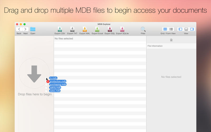 MDB Explorer for Mac2.4.2