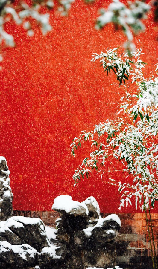 北京故宫雪景图片大全唯美意境 一场雪北京变