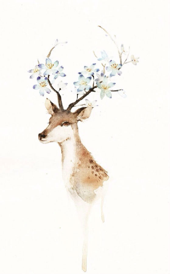 手绘麋鹿唯美图片卡通图片皮肤 树深时见鹿