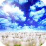 Blue Skies FreeƵ̬ǽֽٷv1.0.7 ׿
