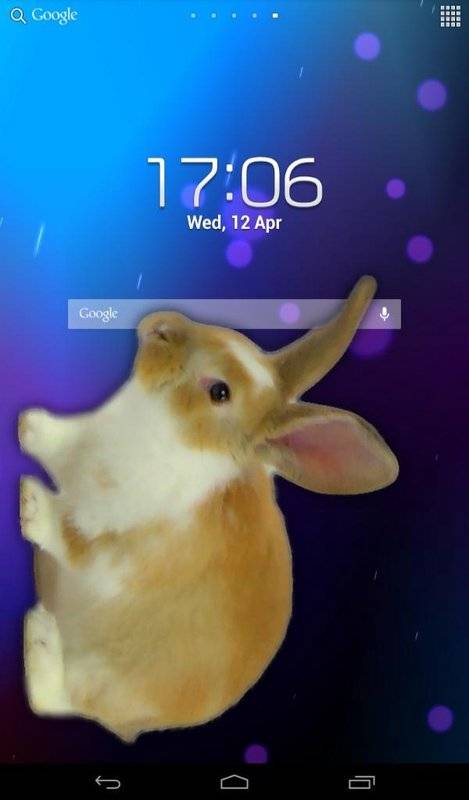 Bunny In Phone Cute jokev1.0 °