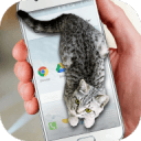 Cat Walks in Phone Cute jokeɰè̬Ļappٷ