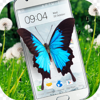 Butterfly in Phone lovely joke°v1.0 ׿