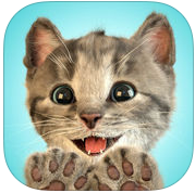 little kitten我最喜爱的猫猫iOS版v1.7 iPhone最新版