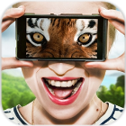 Vision animal simulator(动物视觉模拟软件app下载)