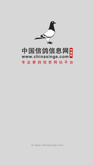 中国信鸽信息网手机版下载
