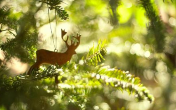 森系复古网名清新自然2018最新版 在薄情的世