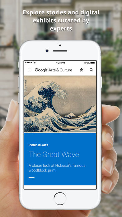 Google Arts&Cultureƻv6.0.17 iphone