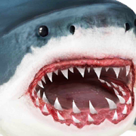 UltSharkSim(究极鲨鱼模拟)v1.1	 安卓版