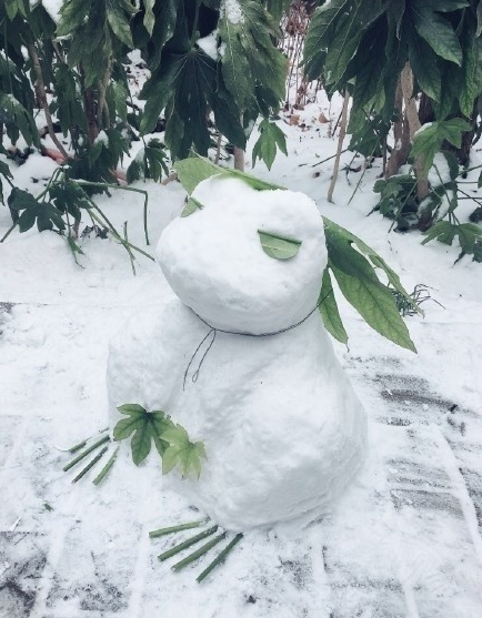 可爱雪人图片大全2018最新版 创意雪人动物图片超可爱