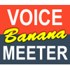 Voicemeeter Bananav2.1 
