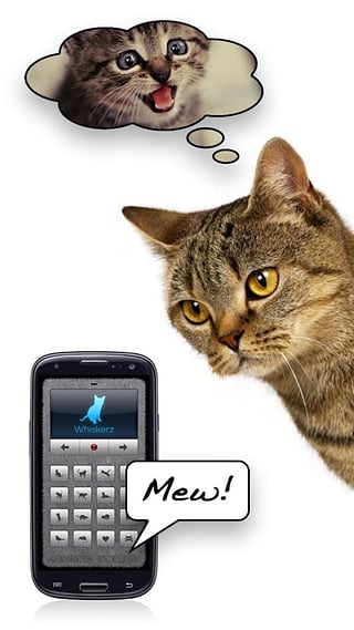 抖音里和猫对话的软件
