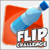 Water Bottle Flip Challenge(ˮƿתϷ)v1.4 °