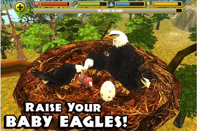 Eagle Simulator(ģӥ)v1.0 ׿
