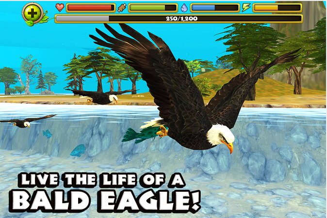 Eagle Simulator(ģӥ)v1.0 ׿
