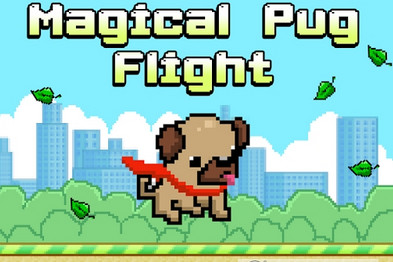 Magical Pug()v1.0 Ѱ