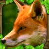 Fox Simulatorv1.0 ֻ