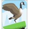 Jump Goose Jump!(İ)v1.03 ׿