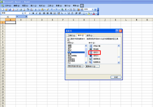 Microsoft Office Excel(excel)v2003 ɫر