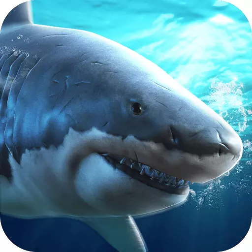 真实模拟鲨鱼捕食v1.0.3.0322 安卓版