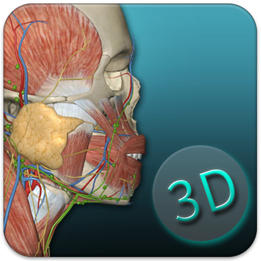 人体解剖学图集v3.9.8 安卓版