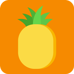 菠萝记事本v1.0.0 安卓版