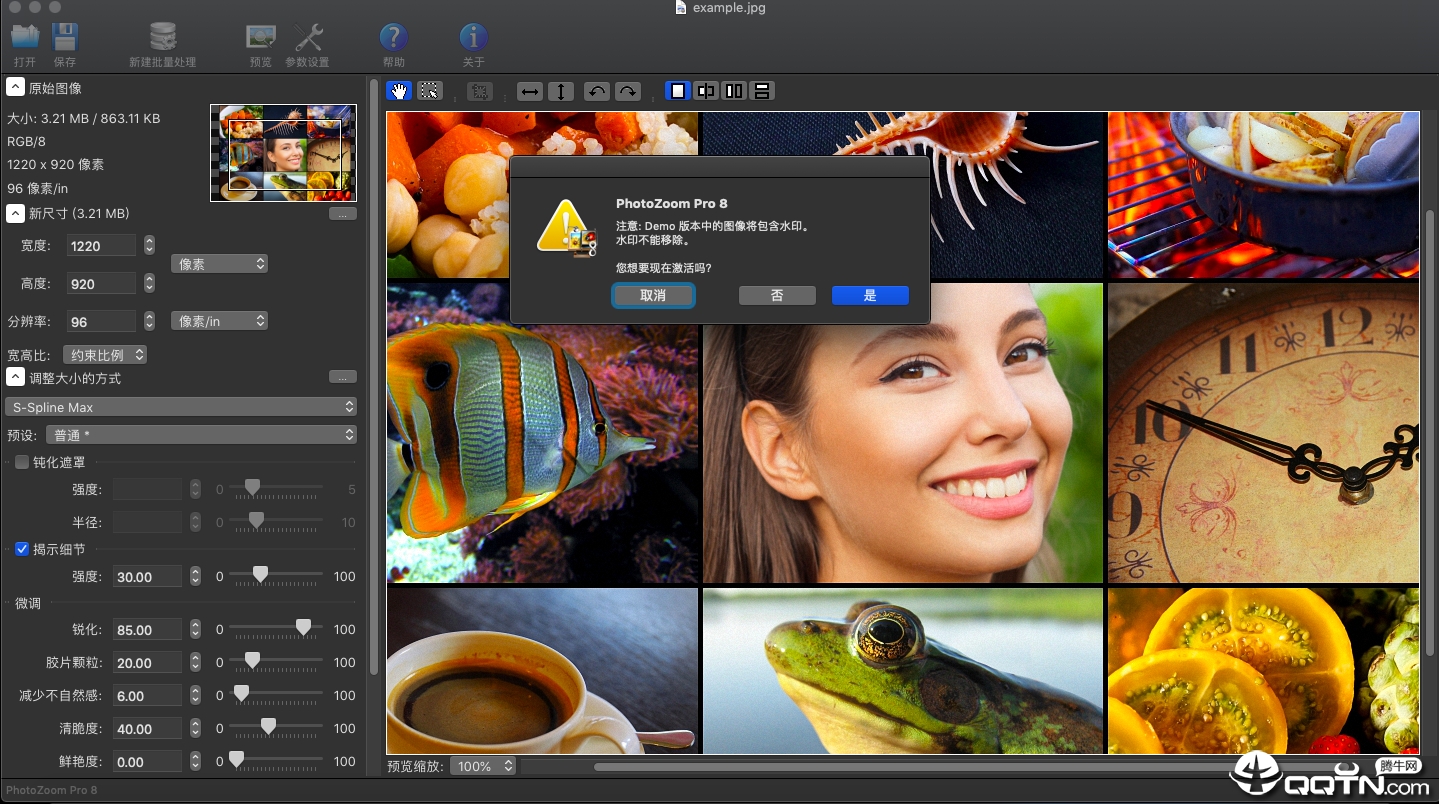 PhotoZoom Pro Macv8.0 ƻ԰