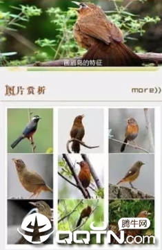 Birdlife of New Zealandv5.2 ׿