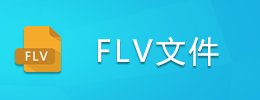 FLV文件