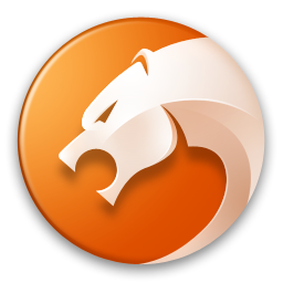 猎豹安全浏览器正式版