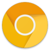 Chrome Canary手机版v73.0.3658.0 安卓版