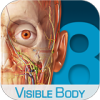 visible bodyv3.1.3 Ѱ