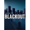 ϵ(Survive the Blackout)ⰲװ