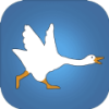 Goose(海Ѱ)v1.0.0 ׿