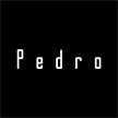 Pedro appv3.3.0 ׿